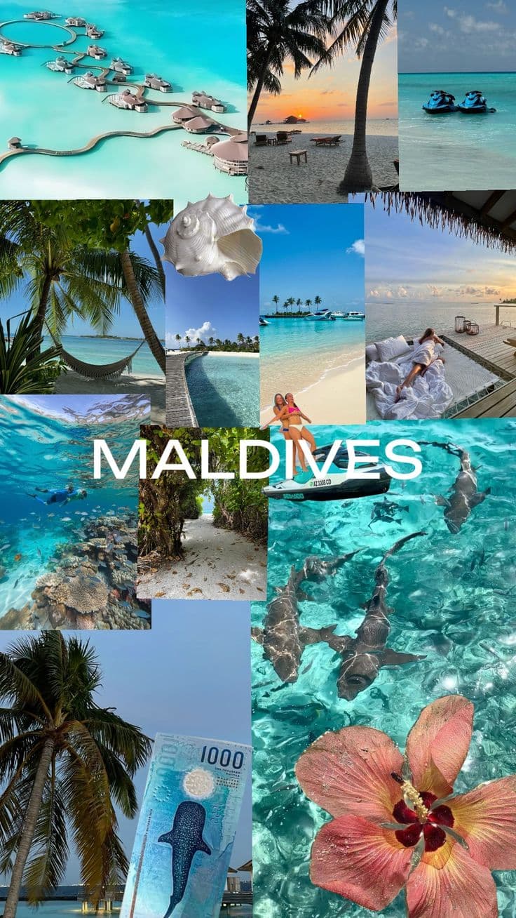 The Maldives.